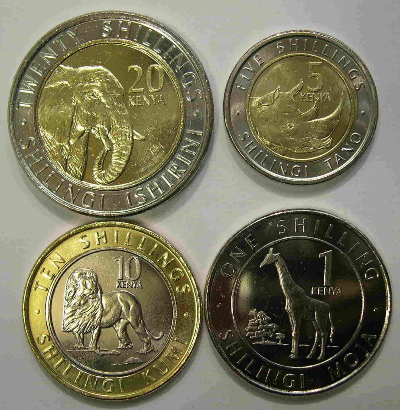 Articulo Numismatica Anverso
