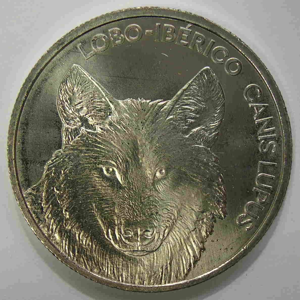 Articulo Numismatica Anverso