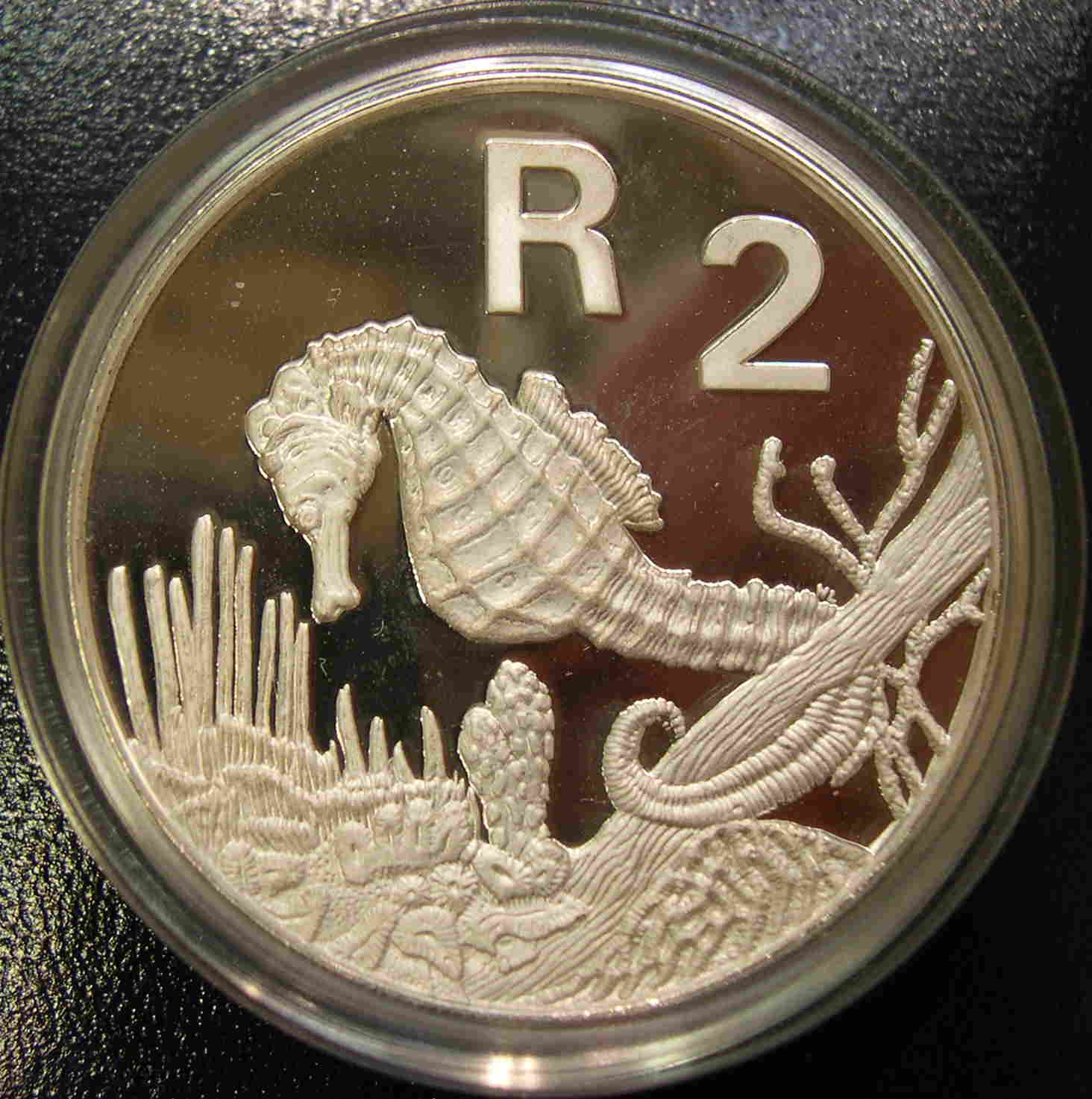 Articulo Numismatica Anverso