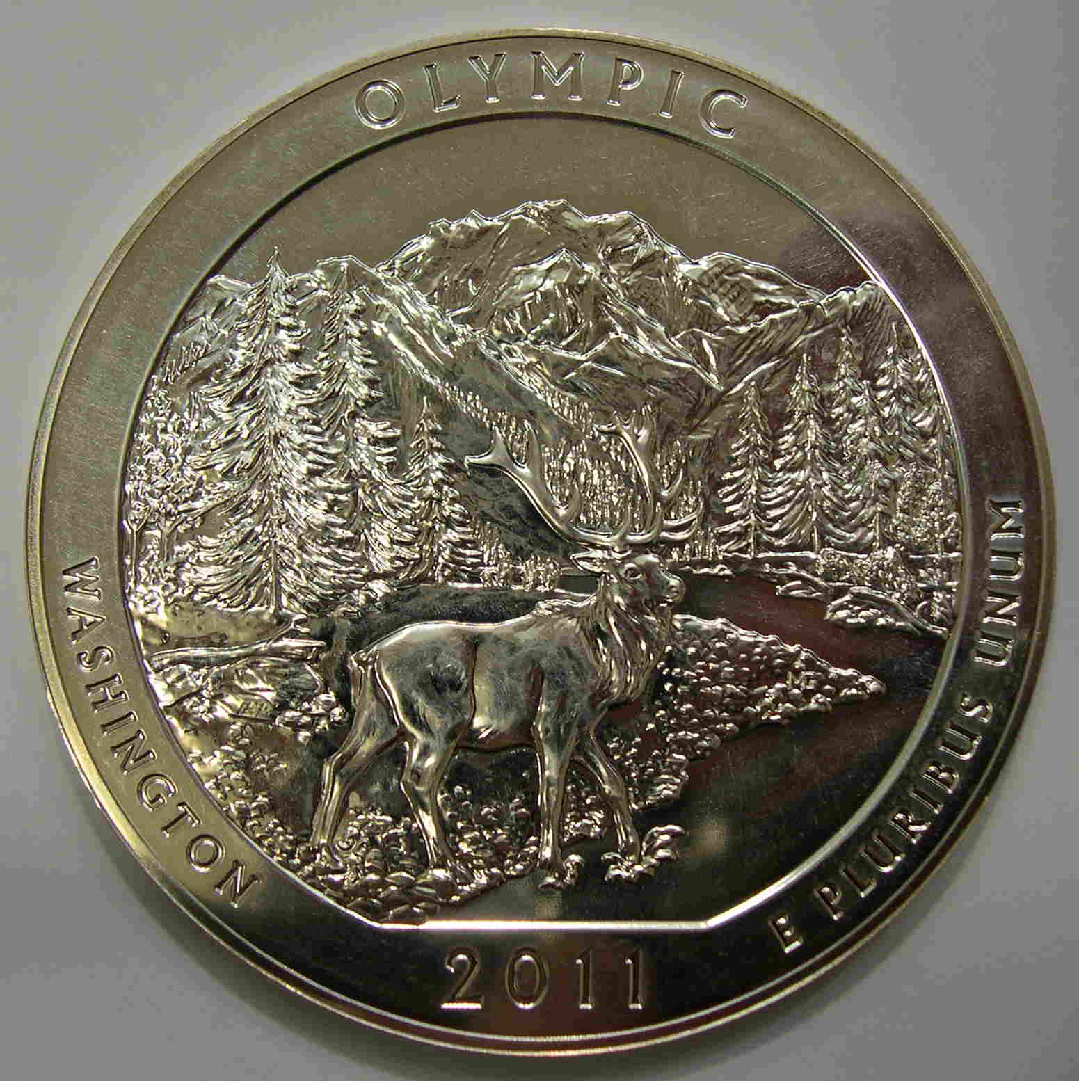 Articulo Numismatica Anverso