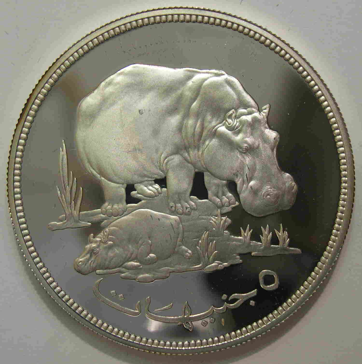 Articulo Numismatica Anverso