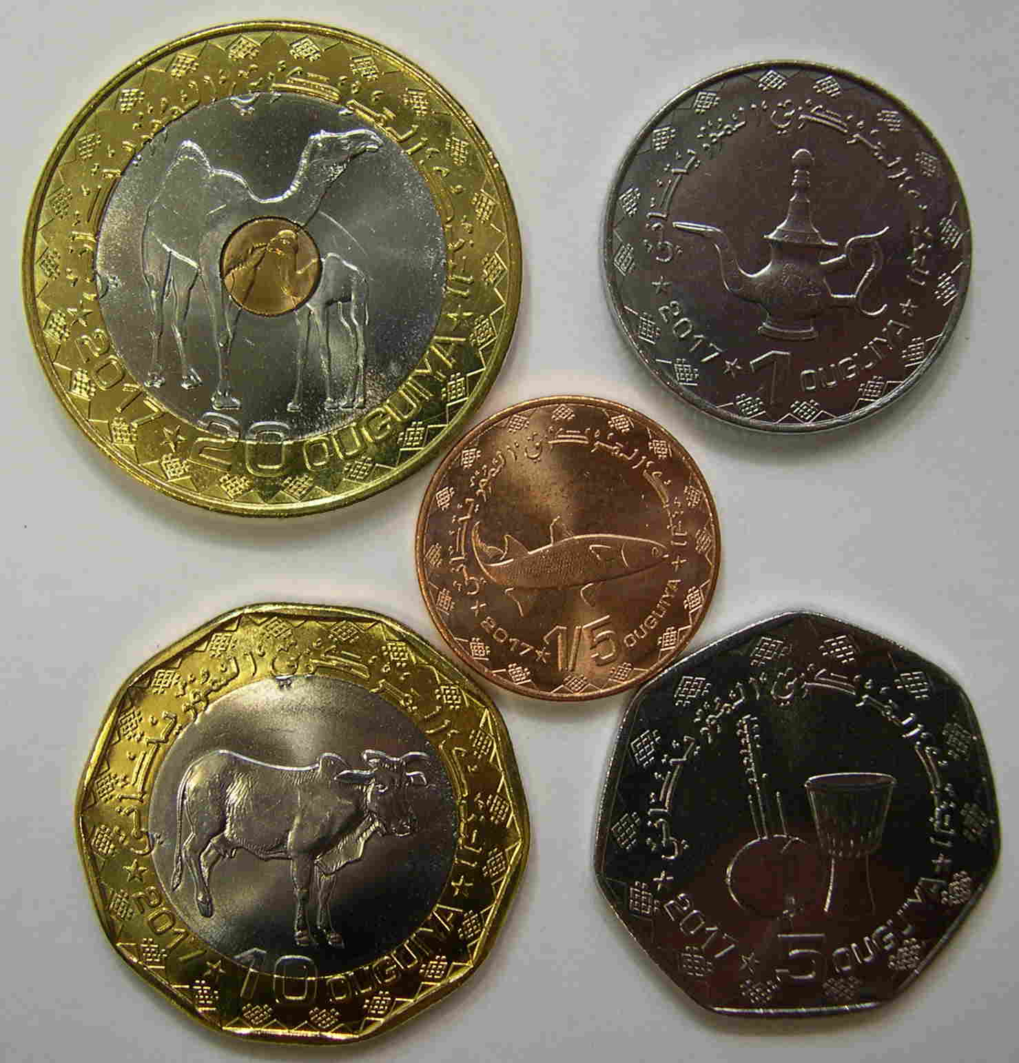 Articulo Numismatica Anverso
