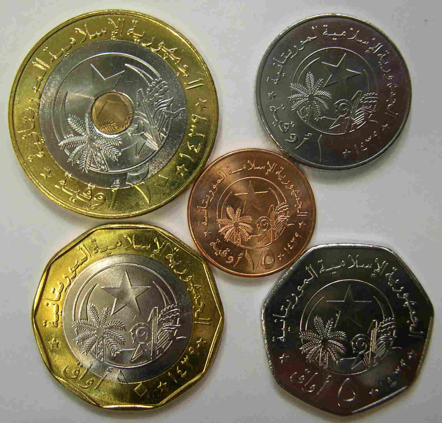 Articulo Numismatica Reverso