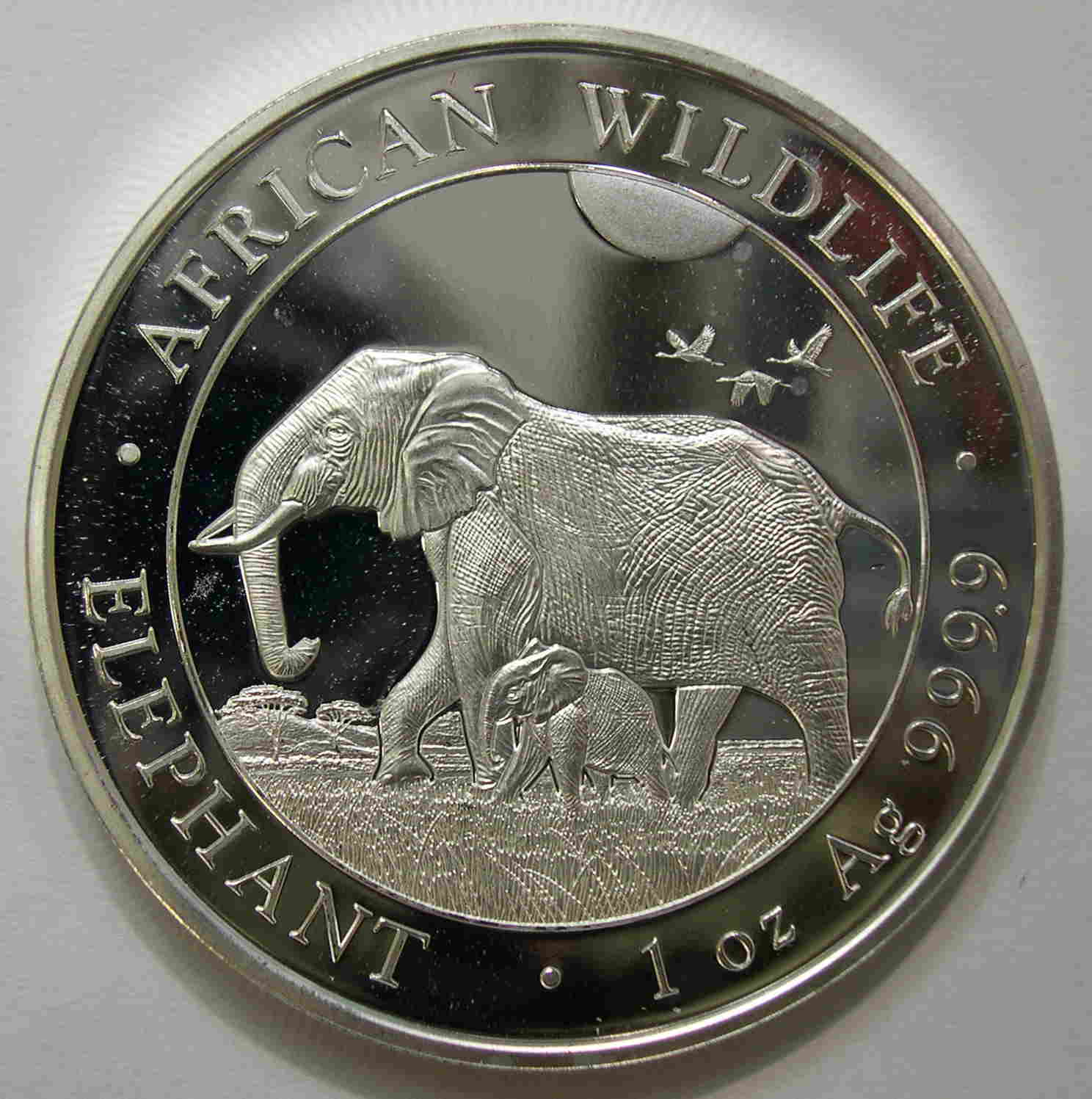 Articulo Numismatica Anverso