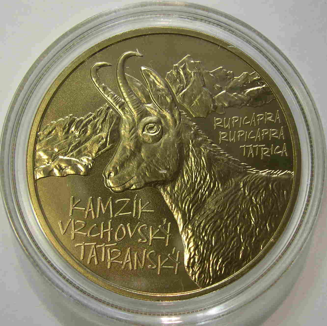 Articulo Numismatica Anverso