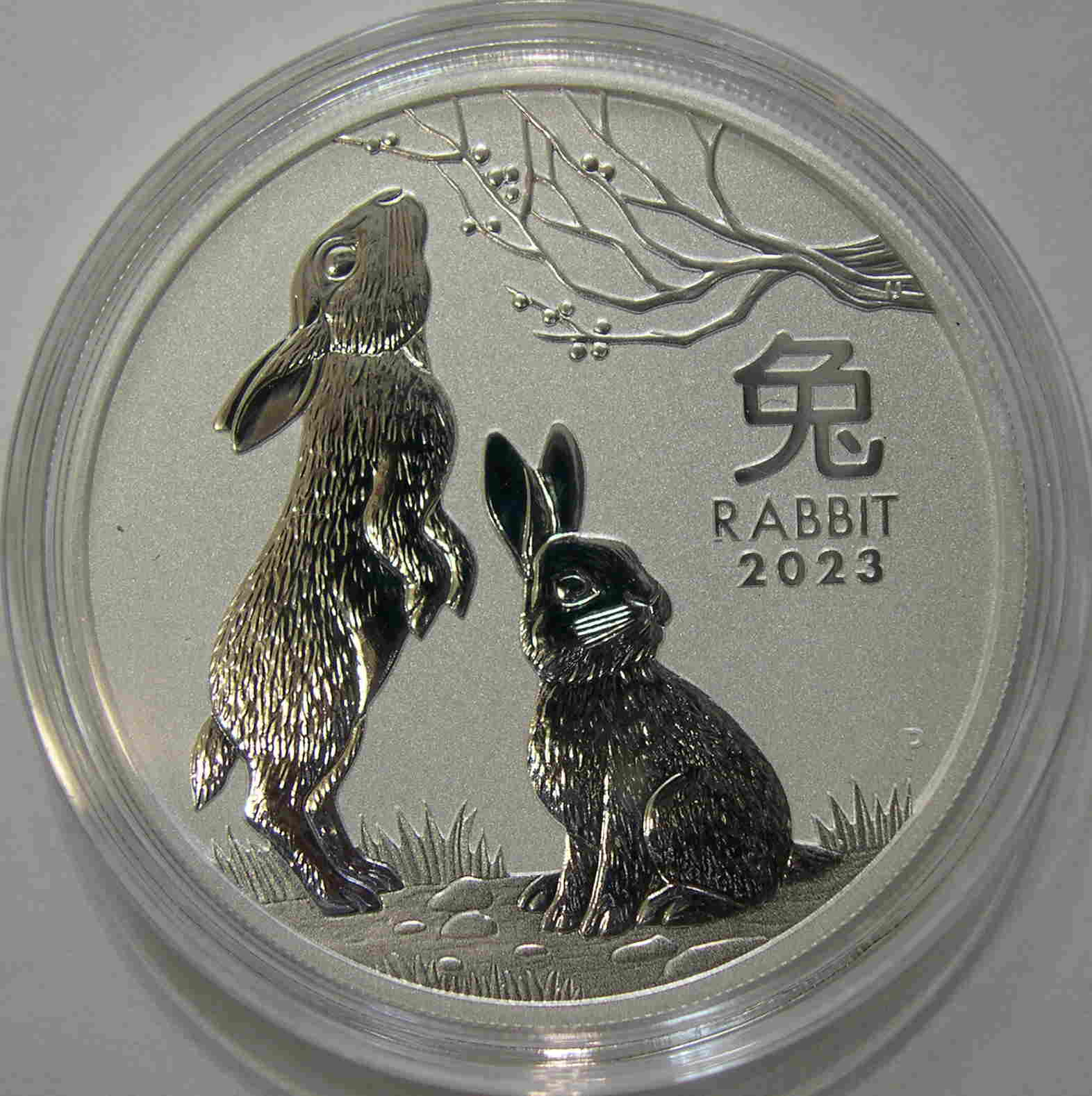 Articulo Numismatica Anverso