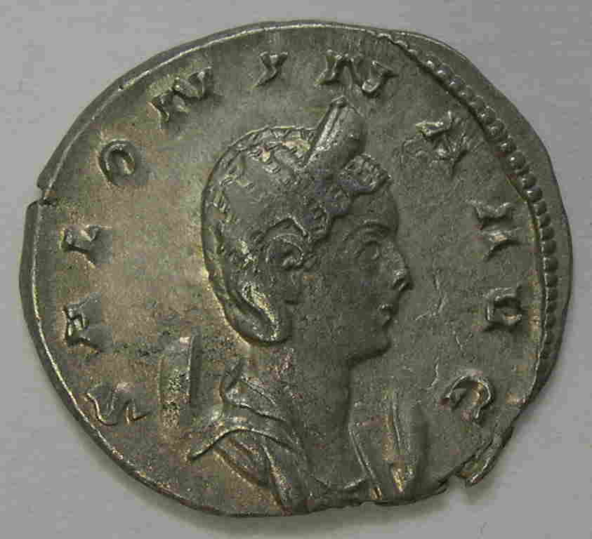 Articulo Numismatica Anverso