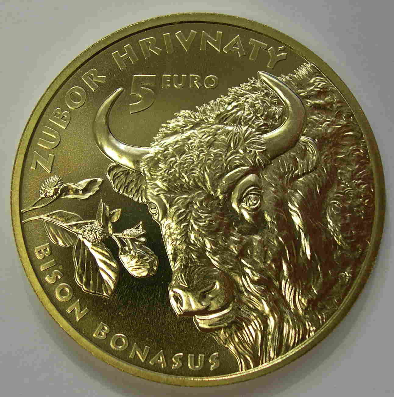 Articulo Numismatica Anverso