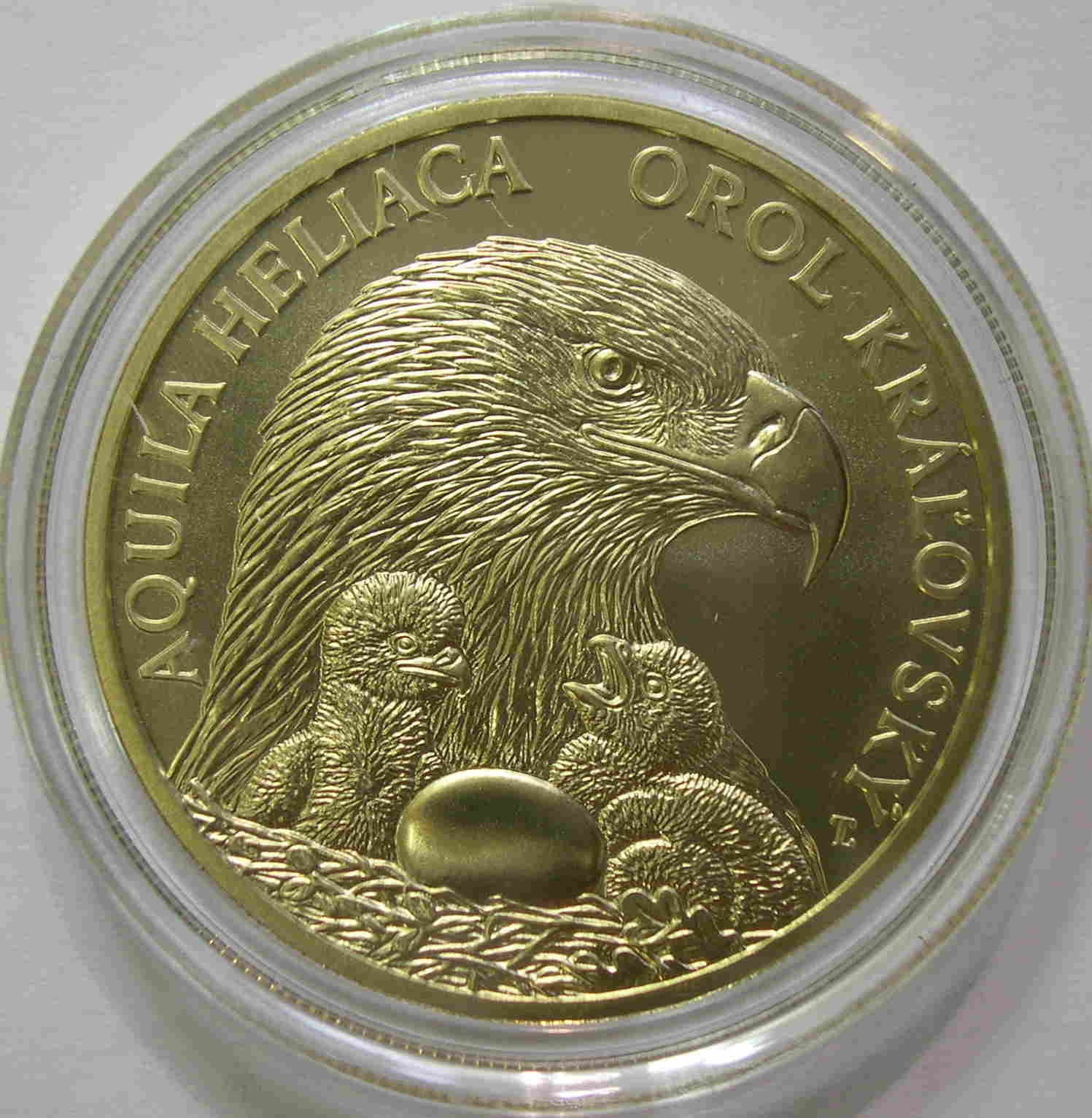 Articulo Numismatica Anverso
