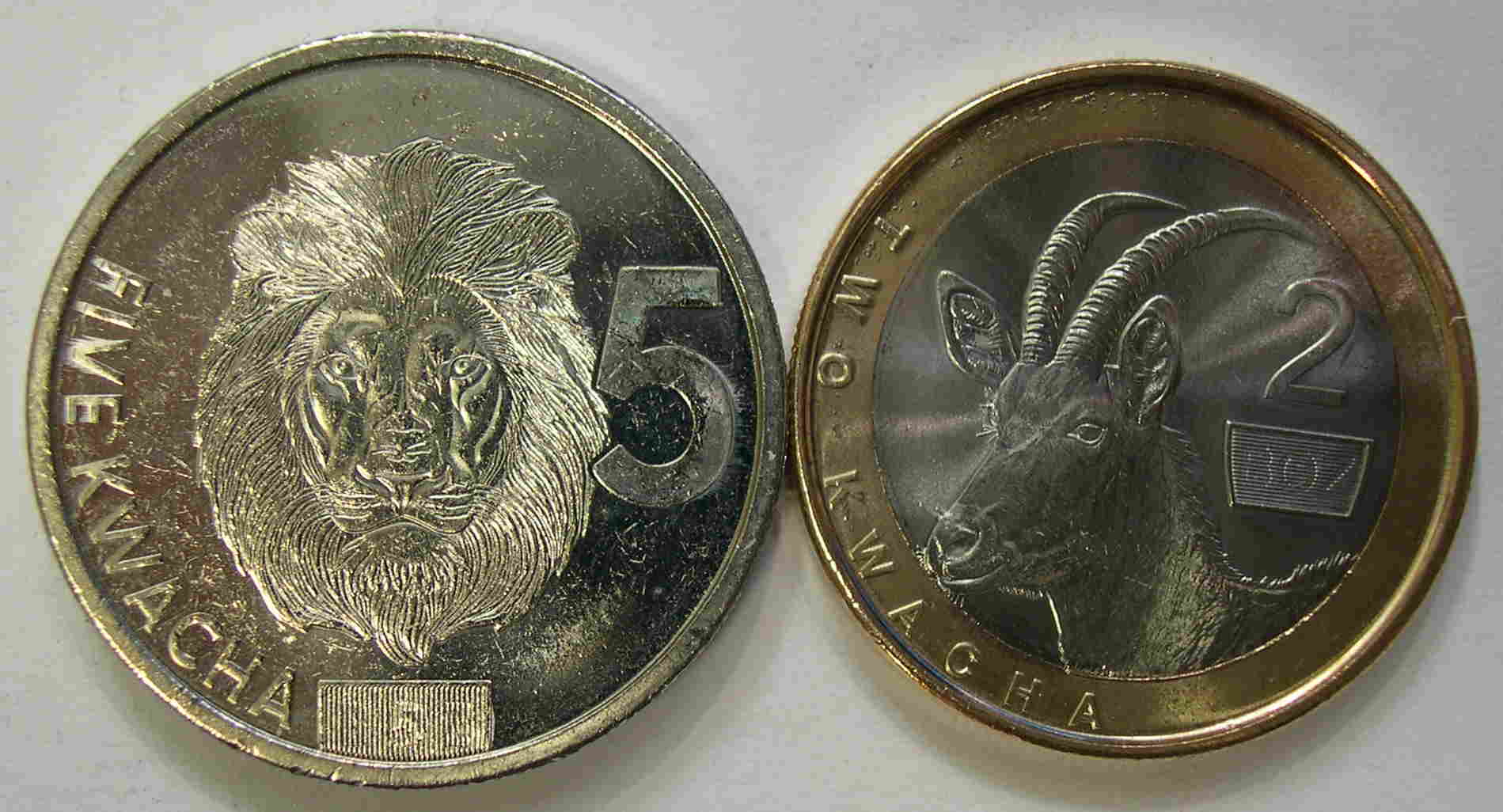 Articulo Numismatica Anverso