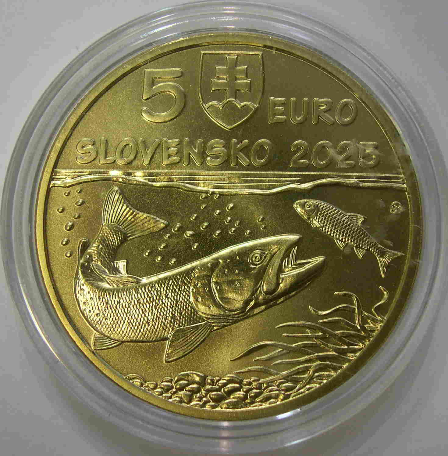 Articulo Numismatica Anverso