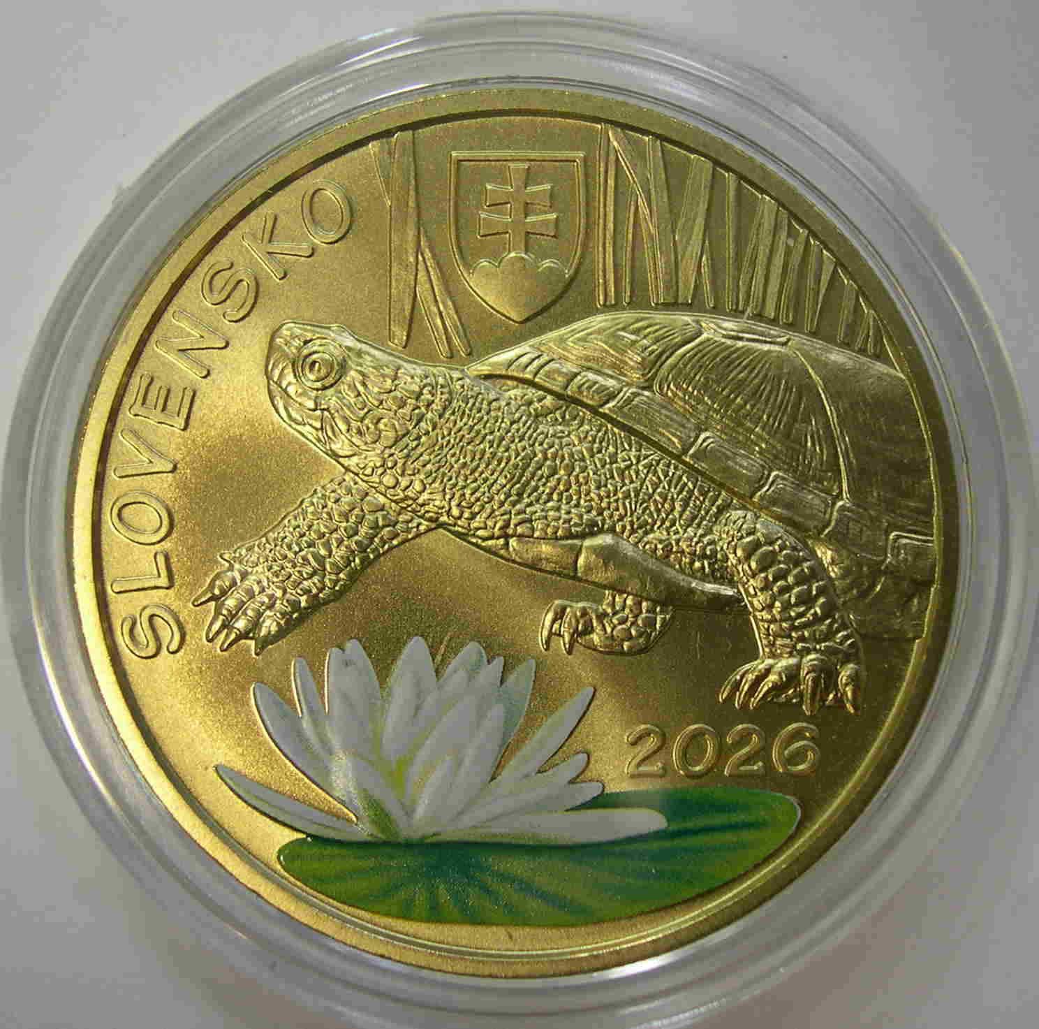 Articulo Numismatica Anverso
